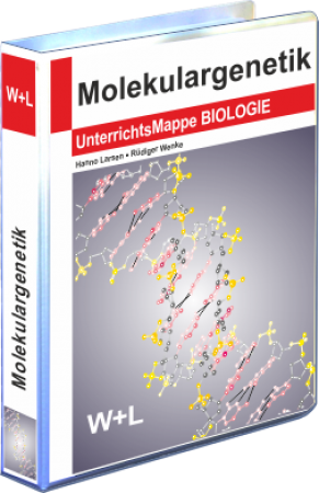 Mappe Molekulargenetik